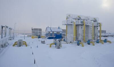 На Украине к февралю могут закончиться все запасы газа