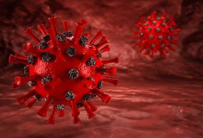 Глава Discovery Health Роуч назвал самый ранний симптом омикрон-штамма коронавируса