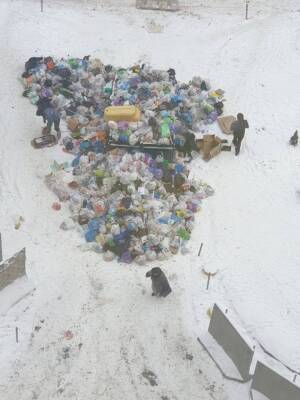 В Янино новогоднюю елку собрали из куч мусора — фото