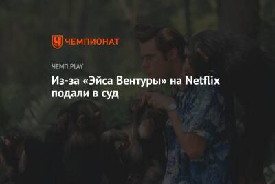 Из-за «Эйса Вентуры» на Netflix подали в суд