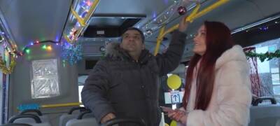 В Карелии водитель автобуса установил новогоднюю ель в салоне (ВИДЕО)