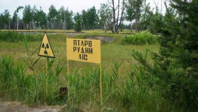 Спустя 35 лет после ядерной катастрофы швейцарская компания хочет снова сделать Чернобыль обитаемым