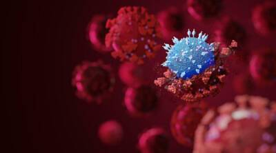Американское исследование: Омикрон создает иммунитет к другим штаммам