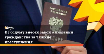 В Госдуму внесен закон о лишении гражданства за тяжкие преступления