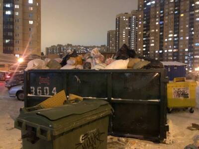 Петербуржцам испортили «новогоднее настроение» горы мусора