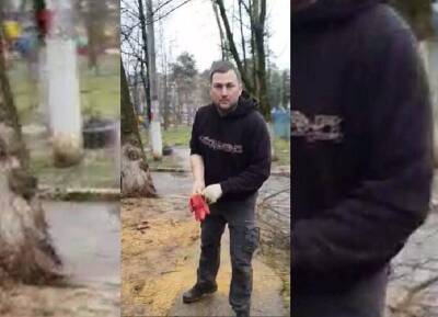 В Краснодаре арестовали рабочего, избившего пенсионерку во время опилки деревьев