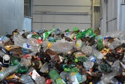 В Североморске вложат средства от раздельного сбора мусора в соцпроекты