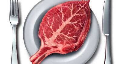 ВОЗ: «растительные аналоги» мясной продукции могут быть вредны для здоровья