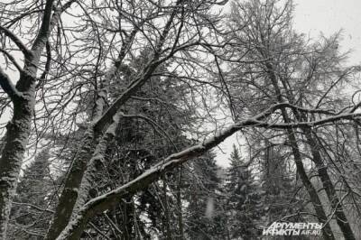 Погода в Хабаровском крае и ЕАО на 29 декабря
