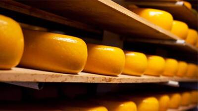 Крупный украинский производитель сыра сворачивает производство из-за высоких цен на газ
