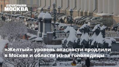 «Желтый» уровень опасности продлили в Москве и области из-за гололедицы