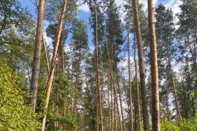 Тамбовская область вновь стала лидером экологического рейтинга