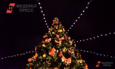 Главную новосибирскую елку назвали худшей среди городов-милионников