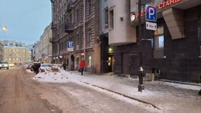 Петербуржцы потребовали, чтобы суд признал незаконным бездействие Смольного в деле уборки улиц