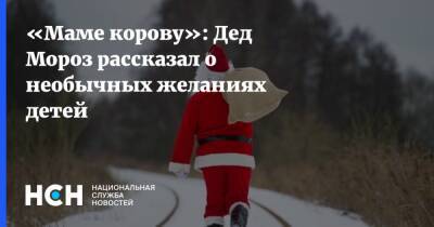Дед Мороз - «Маме корову»: Дед Мороз рассказал о необычных желаниях детей - nsn.fm - Россия