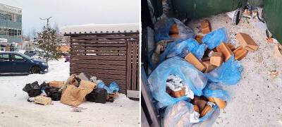 Мешки с хлебом выкинули неизвестные на помойку в Петрозаводске (ФОТО)