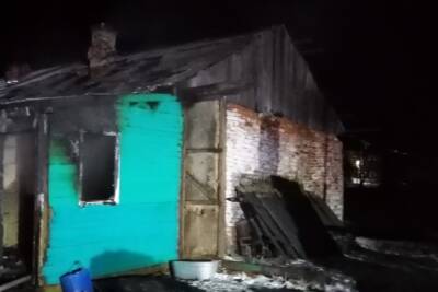Семилетняя девочка погибла при пожаре в Притамбовье