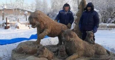 Очередной символ года из навоза: в Якутии местный мастер создал скульптуру тигра