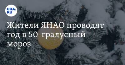 Жители ЯНАО проводят год в 50-градусный мороз