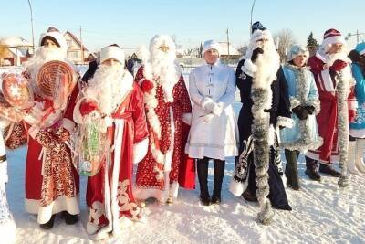Парад Дедов Морозов прошёл в Тамбовской области