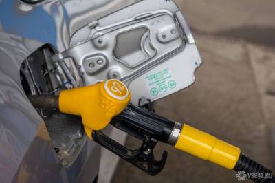 Российские власти нашли способы сдержать цены на бензин в 2022 году