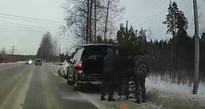 Видео: двое на «Ленд Крузере» решили сэкономить и спили себе елку по дороге домой