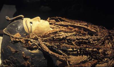 35 лет, 168 см, отличные зубы, обрезан: мумия фараона Аменхотепа I прошла МРТ