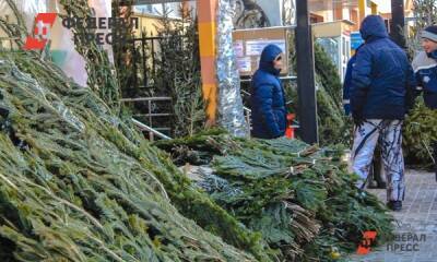 Зачем Калининградскому зоопарку непроданные елки