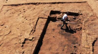 Археологи обнаружили в Собе тысячелетний сад (Фото)
