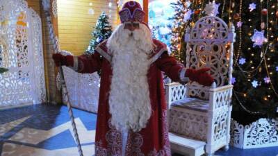 Юрист Мирзоев отказался от иска к Деду Морозу в качестве «подарка» Путину на Новый год