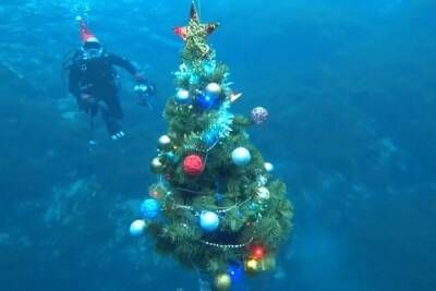 Казанские водолазы в Голубом озере установили подводную новогоднюю елку