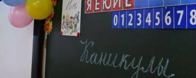 Депутат ГД Лантратова предложила продлить каникулы в школах до 16 января из-за ковида