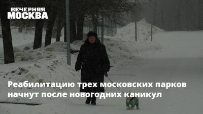 Реабилитацию трех московских парков начнут после новогодних каникул