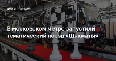В московском метро запустили тематический поезд «Шахматы»