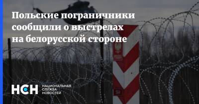 Анна Михальская - Польские пограничники сообщили о выстрелах на белорусской стороне - nsn.fm - Белоруссия - Польша