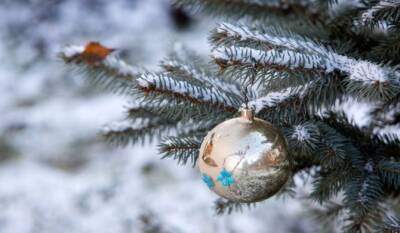 В Украине перед Новым годом потеплеет, ожидаются мокрый снег и дождь, - синоптик