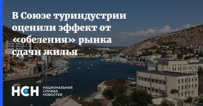 Илья Уманский - В Союзе туриндустрии оценили эффект от «обеления» рынка сдачи жилья - nsn.fm - Россия