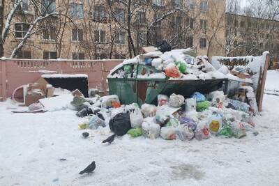 Петербуржцы остались недовольны «новогодним настроением» Смольного из-за очередных гор мусора