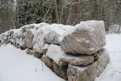 Камни покрылись снежной глазурью в Монрепо