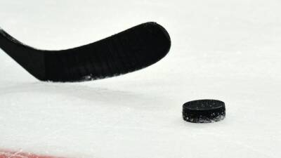 Матч МЧМ по хоккею Финляндия — Чехия отменён из-за коронавируса