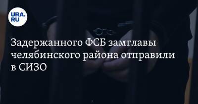 Задержанного ФСБ замглавы челябинского района отправили в СИЗО