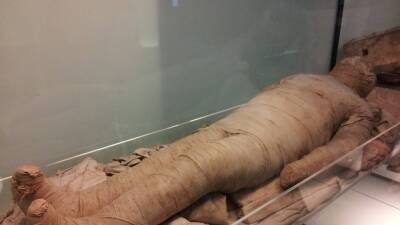 Ученые Университета Рединга извлекли из волос древних мумий ДНК