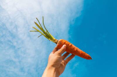 Диетолог предупредила россиян об опасности моркови при болезнях печени