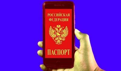 Вице-премьер заявил о надежной защите электронного паспорта РФ
