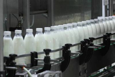 Цена на газ уничтожит молочную промышленность Украины