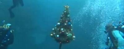 Под Казанью в Глубоком озере в 44-й раз установили новогоднюю елку