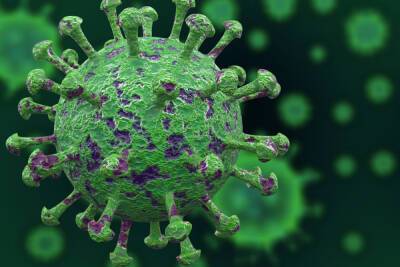 В Новгородской области коронавирусом заболели еще 149 человек