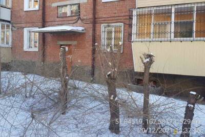 В Улан-Удэ управляющую компанию наказали за варварскую обрезку деревьев