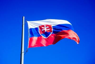 В МИД Словакии заявили о готовности к продолжению контактов с Россией