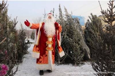 Дед Мороз не будет раздавать детям подарки на новогодних ёлках в Забайкалье